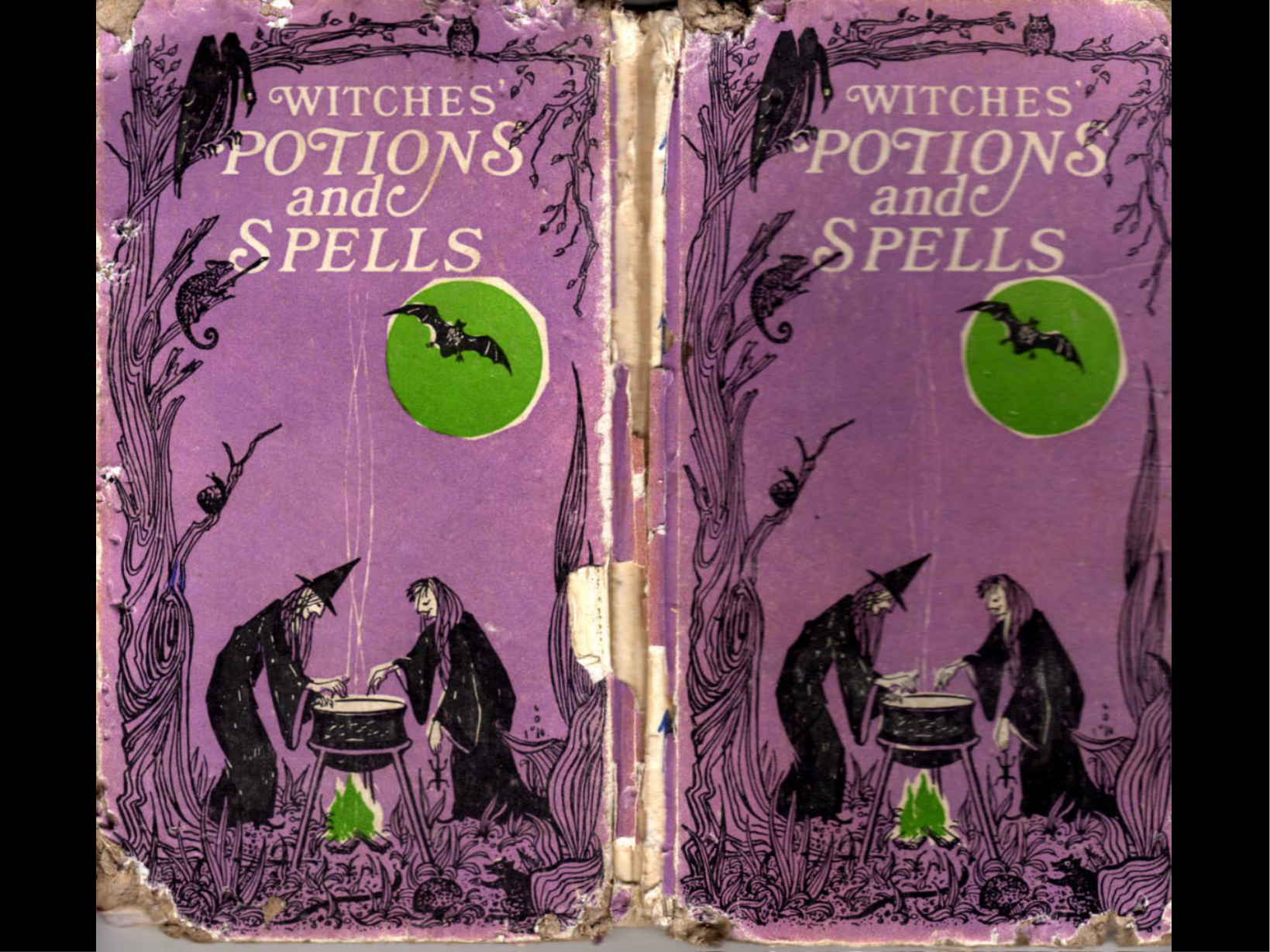 Witches Potions & Spells cover