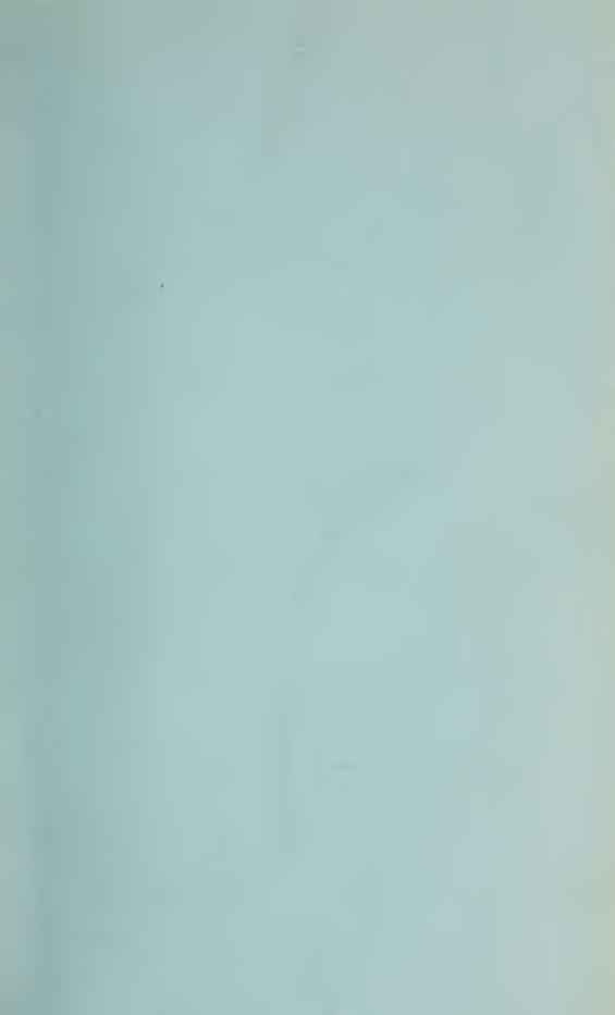 A Confirmation & Discovery of Witchcraft - J Stearne (1648) cover