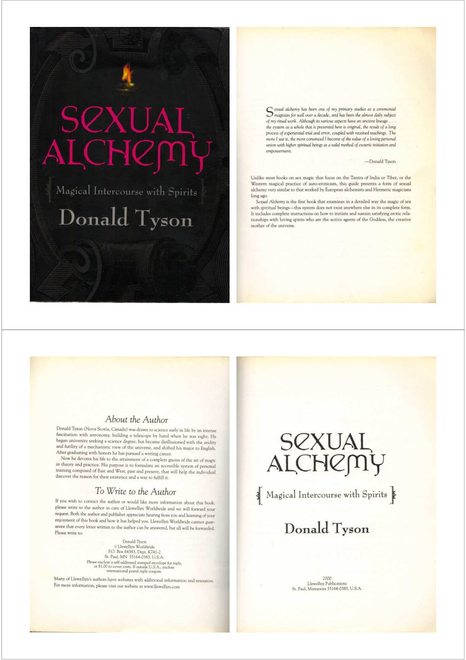 Donald Tyson - Sexual Alchemy cover