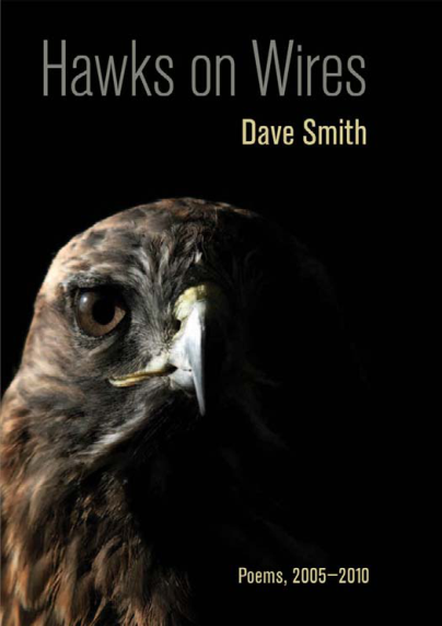 Dave Smith - Hawks on Wires Poems, 2005-2010 cover