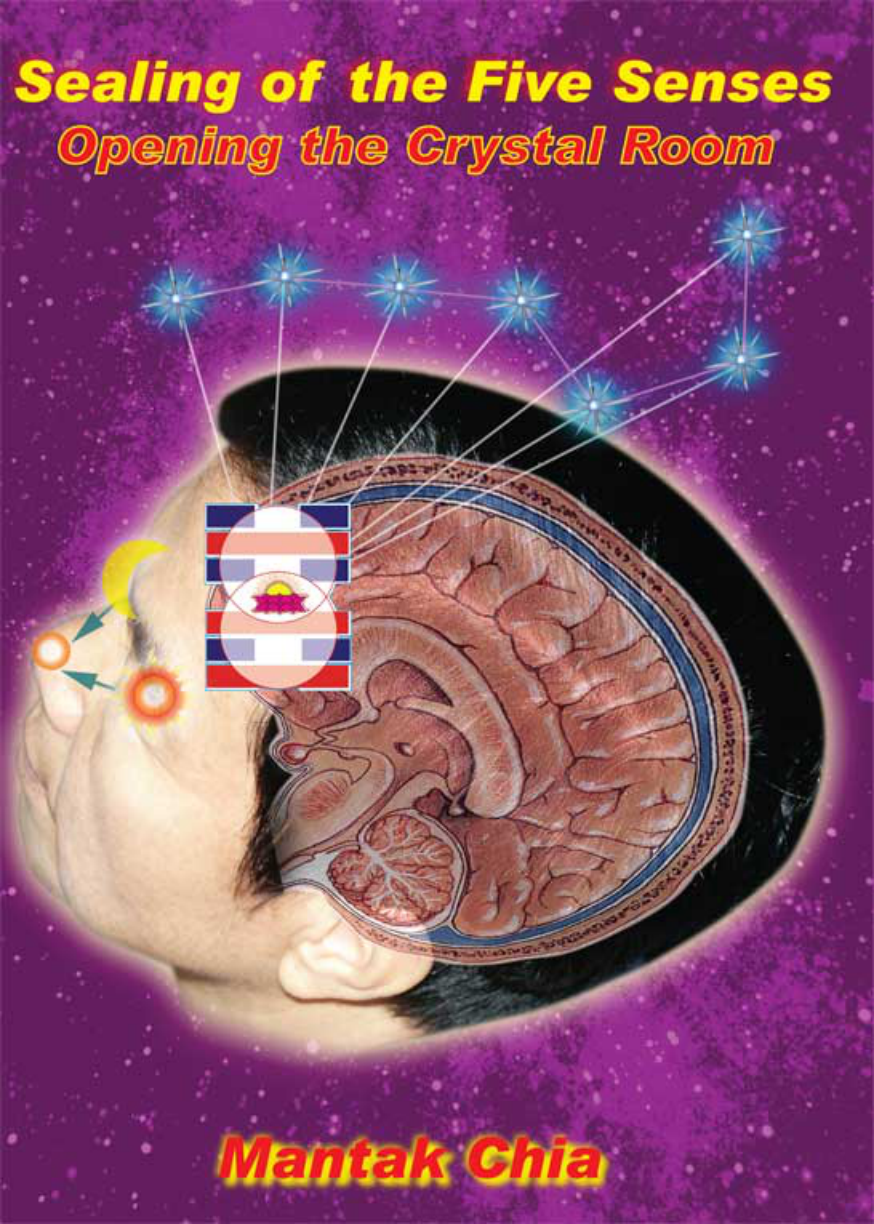 Mantak Chia - 5th Formula - Sealing of the Five Senses cover