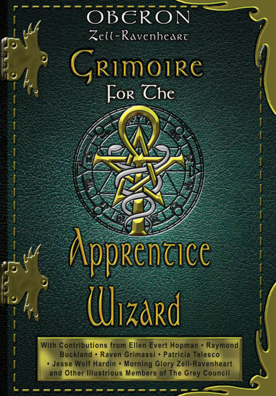 Grimoire for the Apprentice Wizard cover