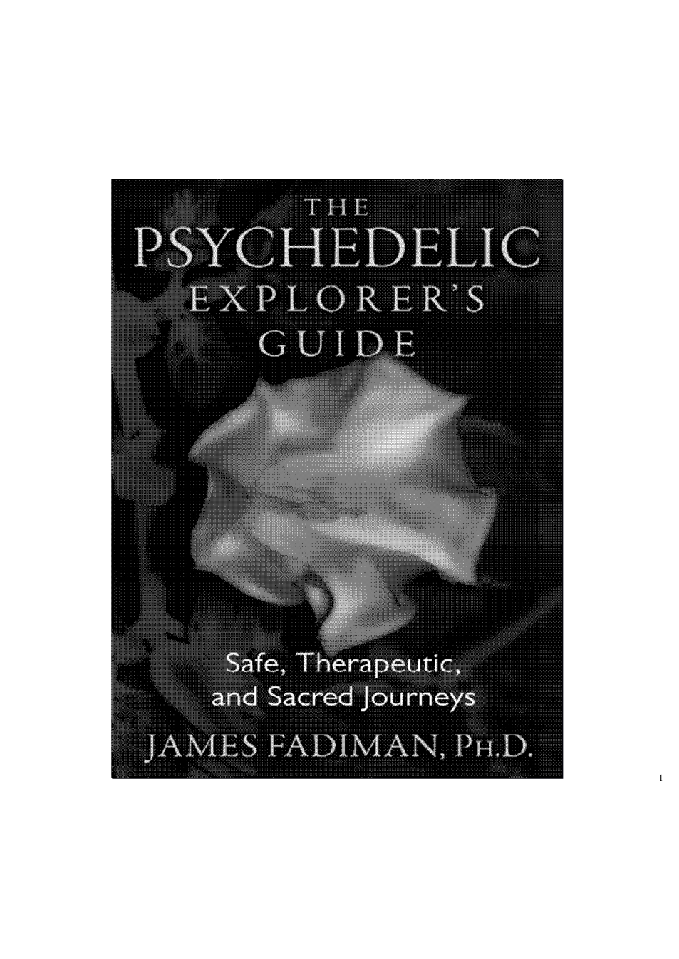 Psychedelic Explorer's Guide cover