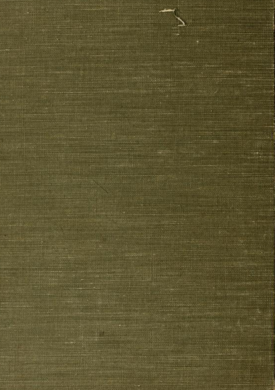 The Royal Parchment Scroll of Black Supremacy - F B Pettersburg (1926) cover