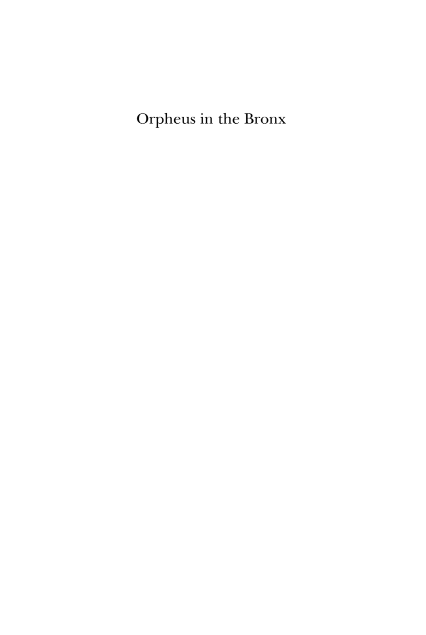 Orpheus in the Bronx: Essays on Identity, Politics, and the Freedom of Poetry cover