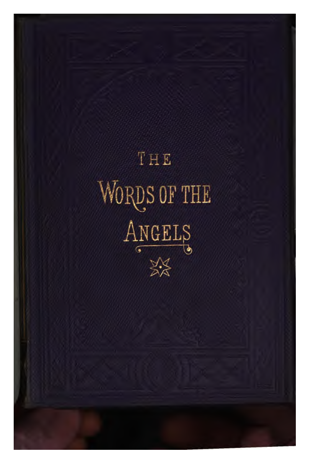 The words of the angels  or, their visits to the earth, and the messages they delivered - R. Stier (1862) cover
