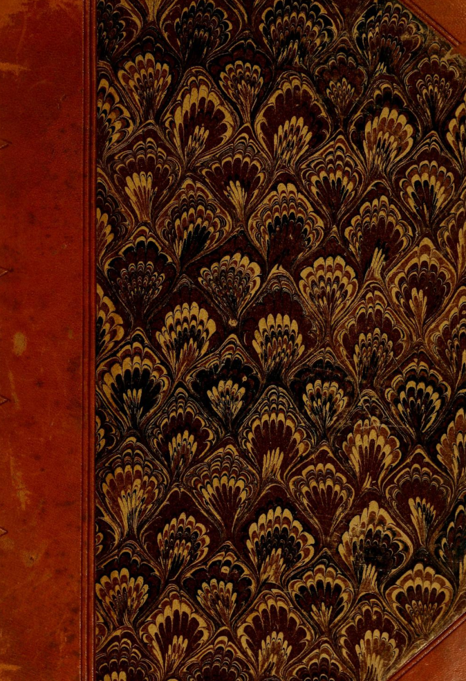 The Druid Path - M Ellis Ryan (1917) cover
