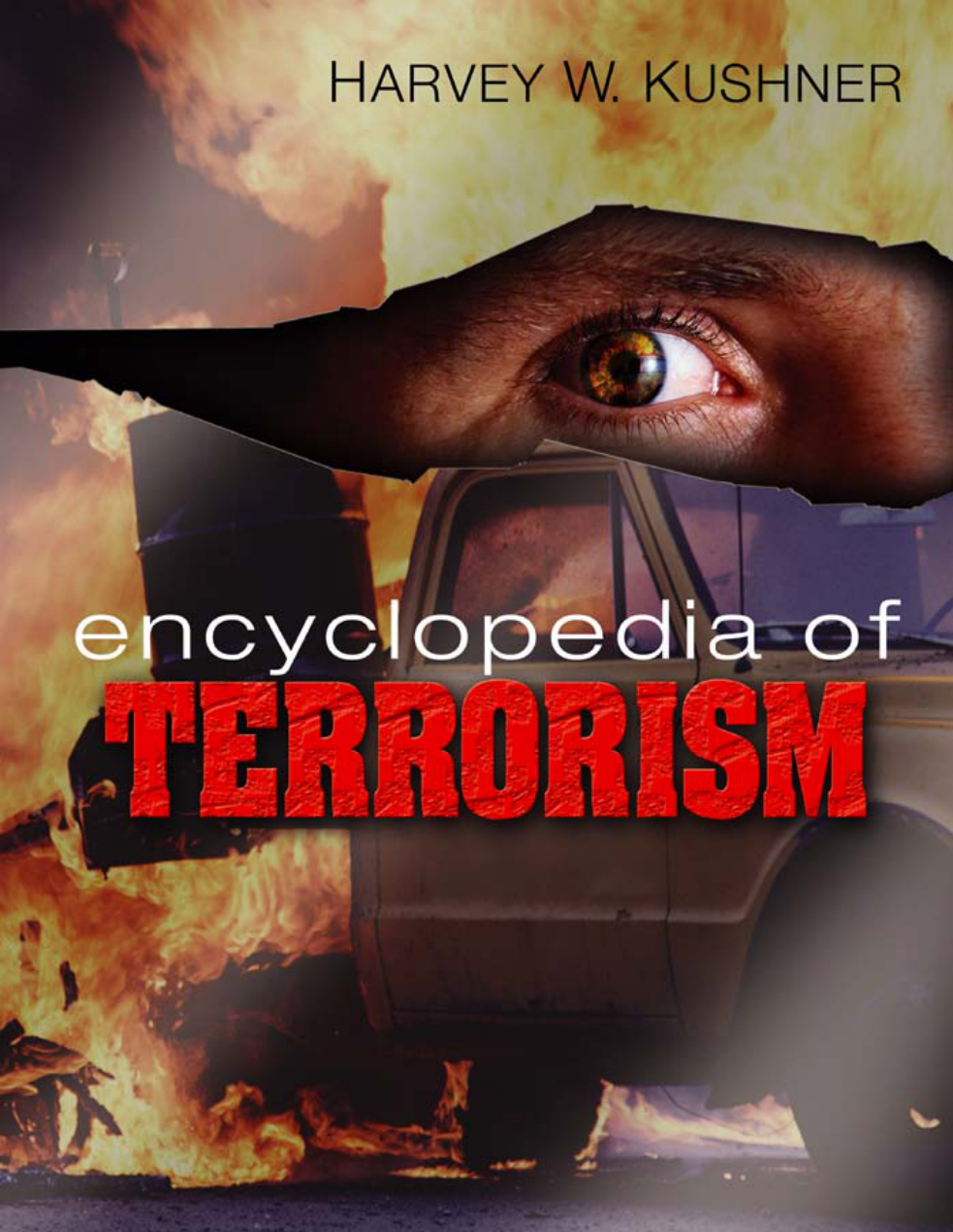 Encyclopedia Of Terrorism cover