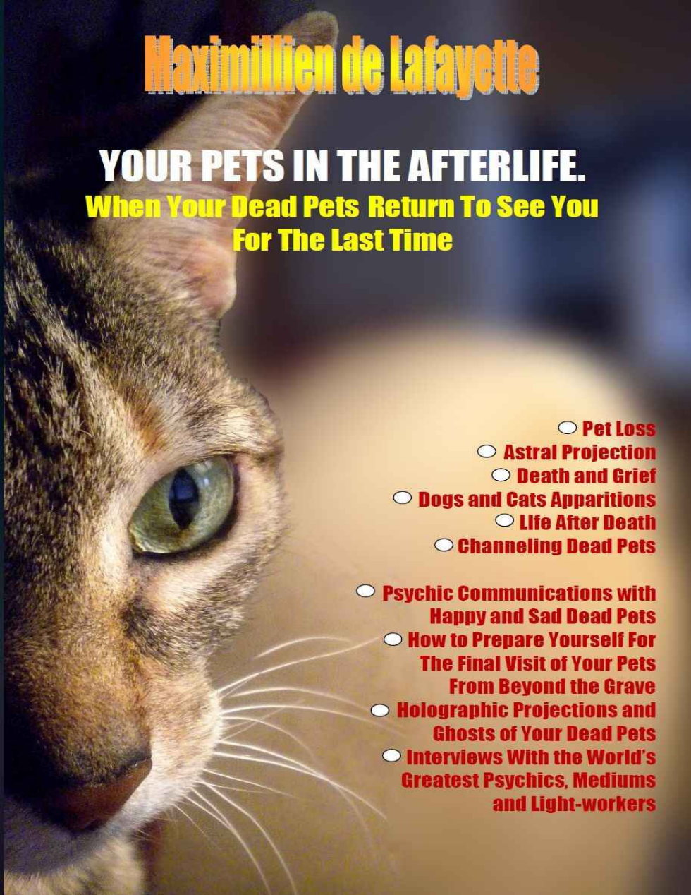 YOUR PETS IN THE AFTERLIFE: When Your Dead Pets Return To See You For The Last Time! cover