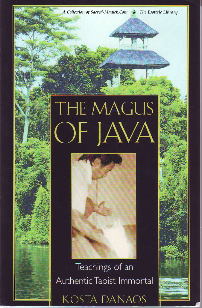 Kosta Danaos - The Magus of Java cover
