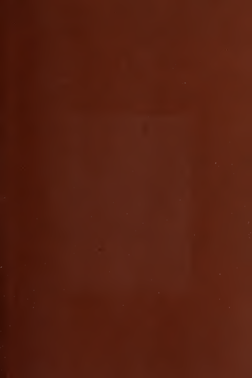 The Masculine Cross & Ancient Sex Worship - S Rocco (1874) cover