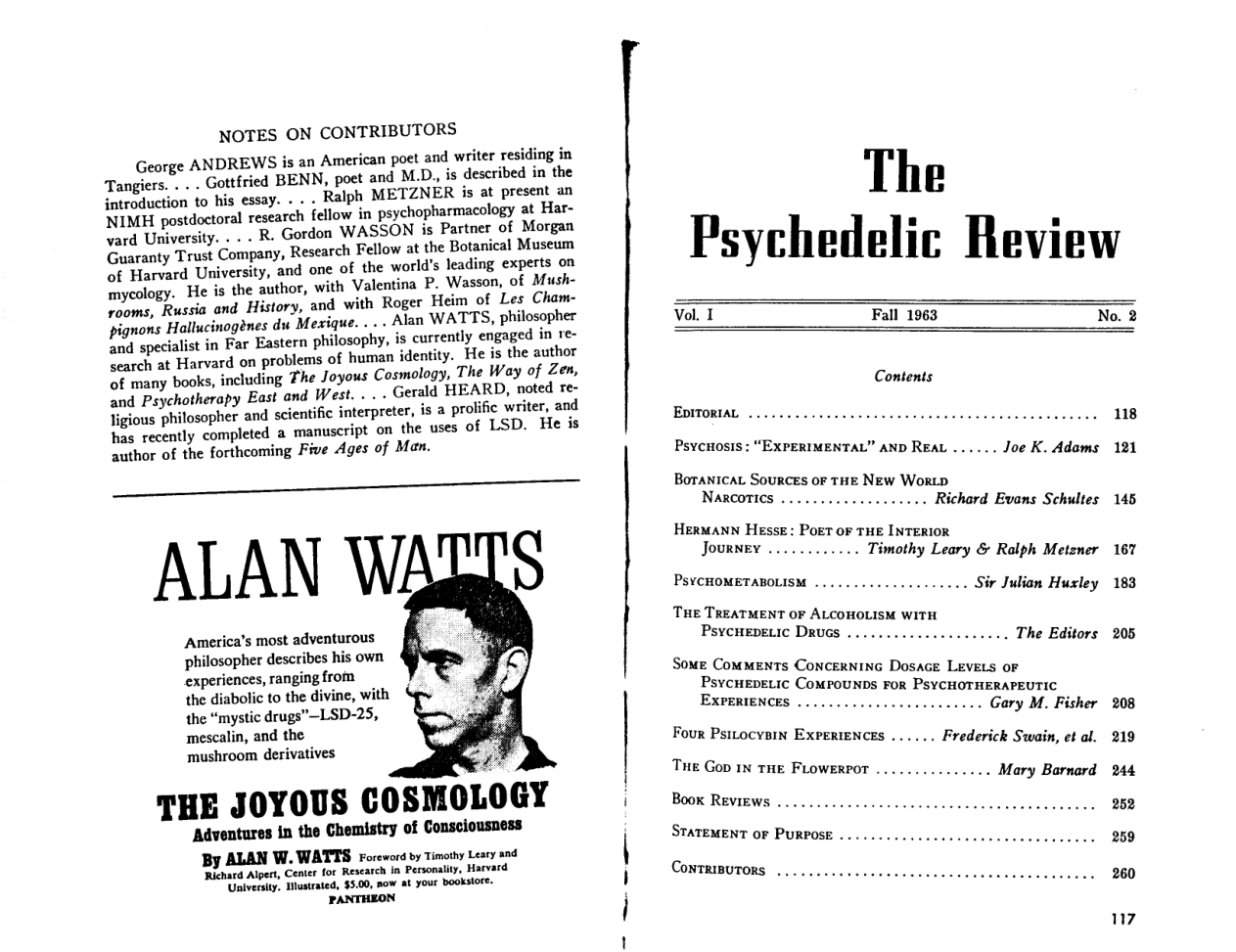 Psychedelic Review 02 cover