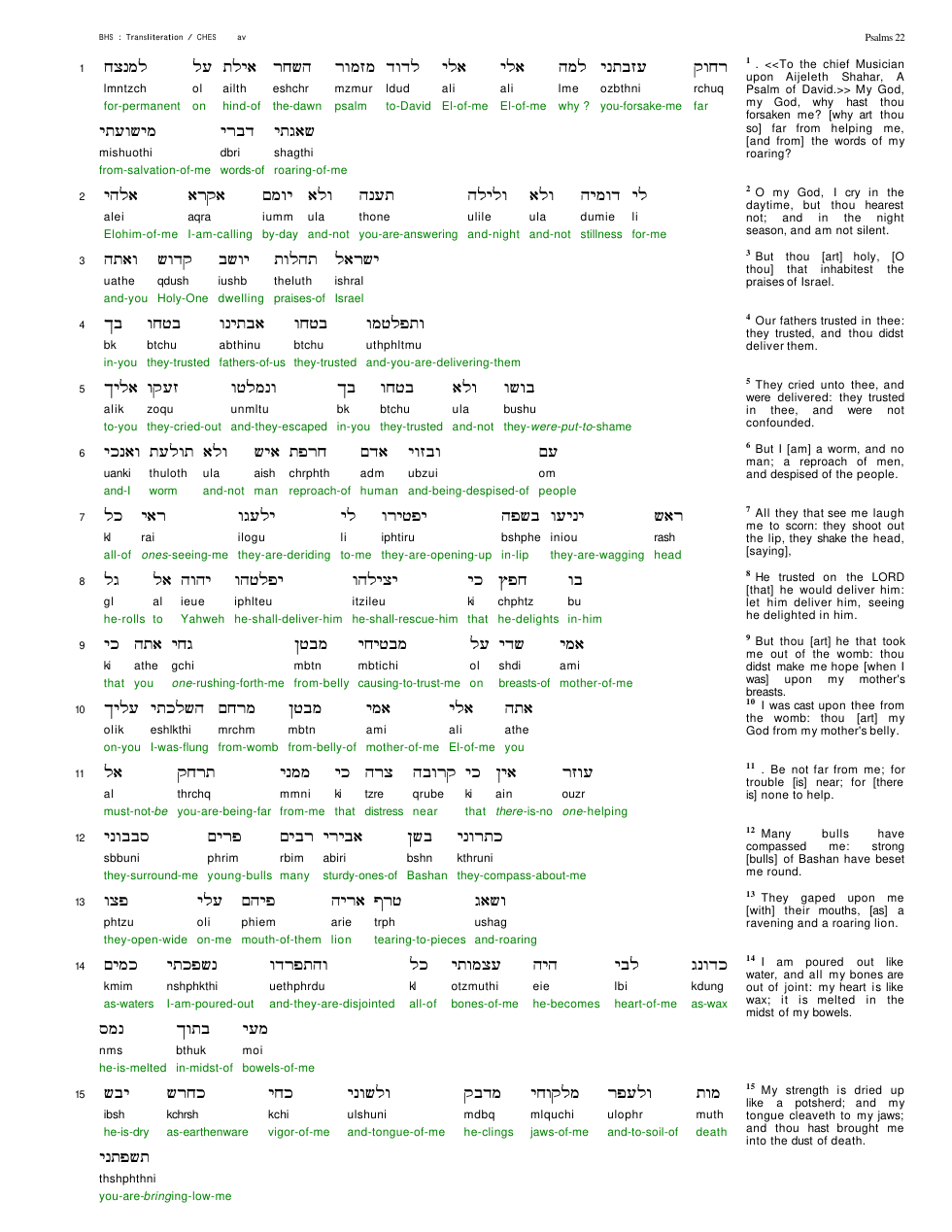 19022-The Book Of Psalms Chapter-022 cover