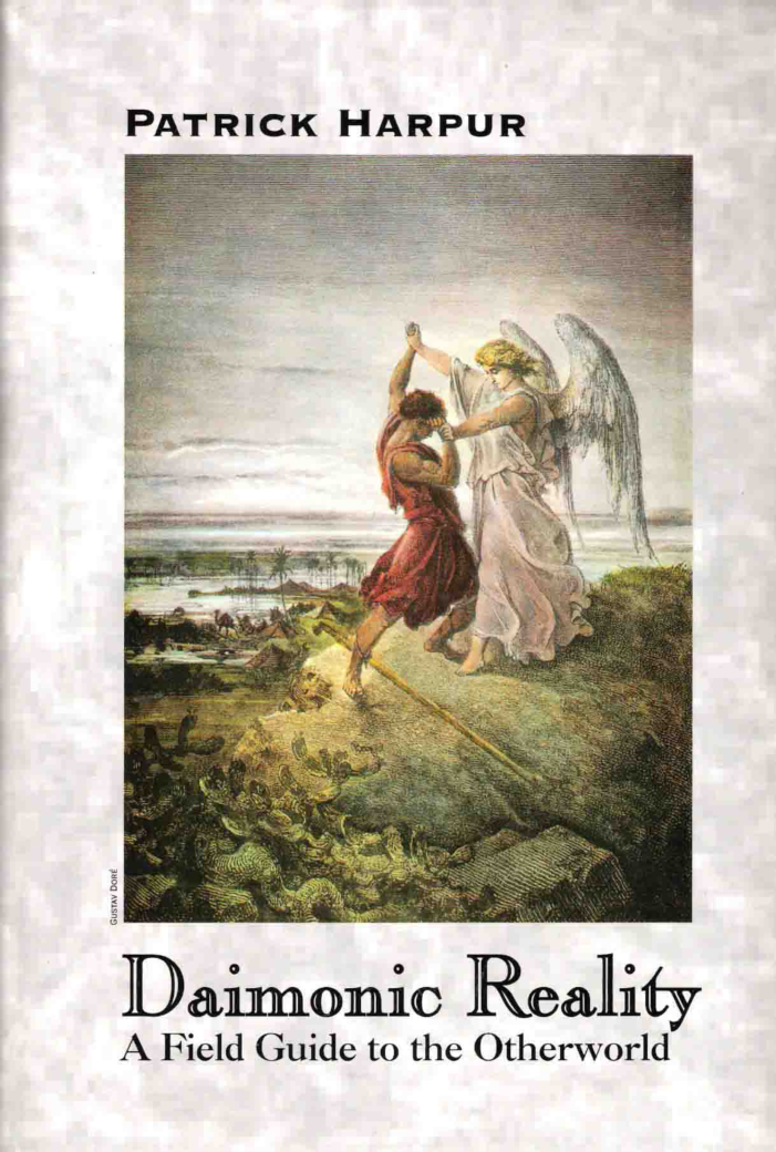Daimonic Reality - A Field Guide to the Otherworld cover