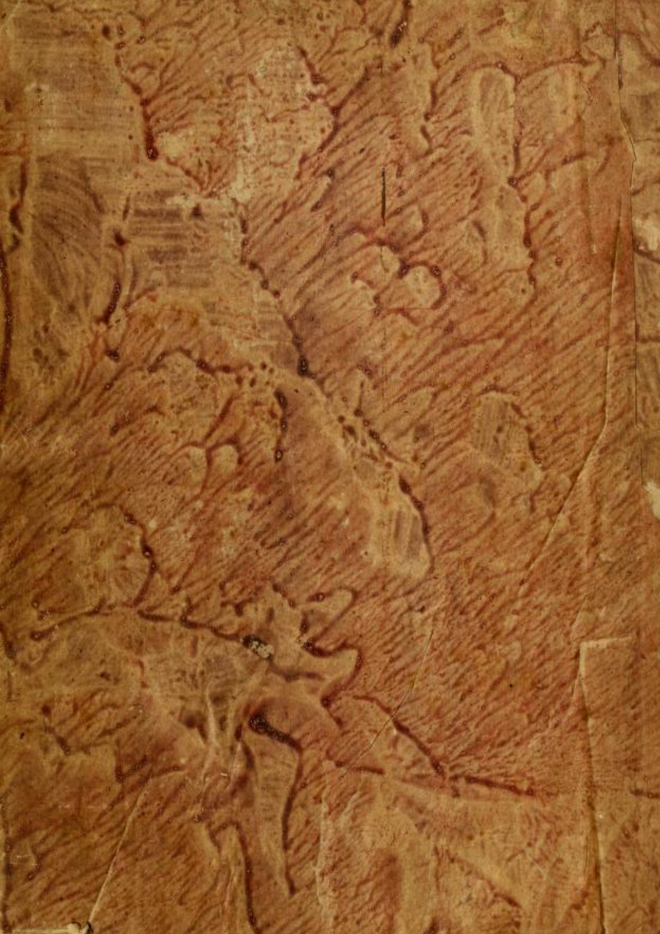 The Zoetic Grimoire of Zos - A O Spare (19 ) cover