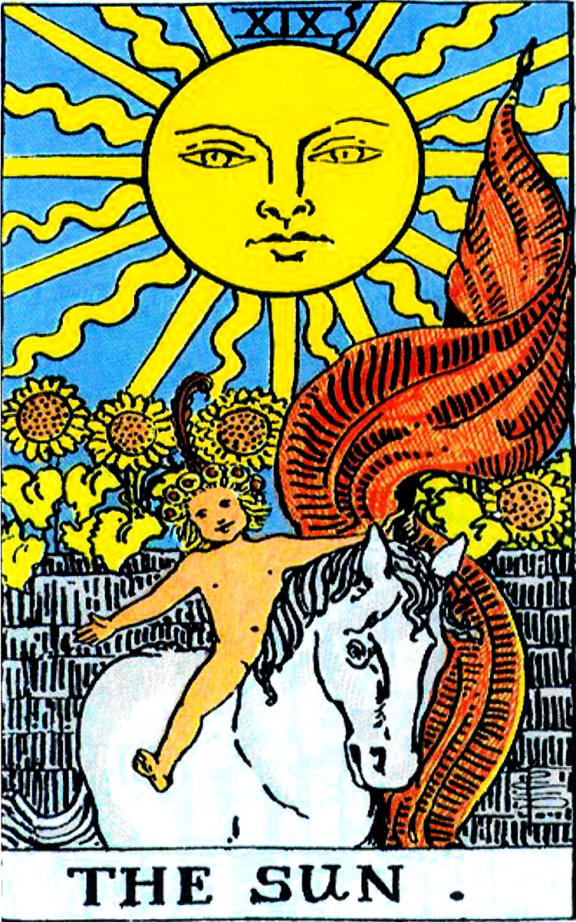 19-Sun cover