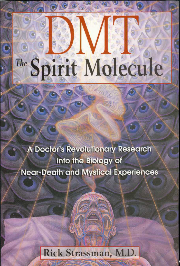 Strassman.DMT The Spirit Molecule (2001) cover
