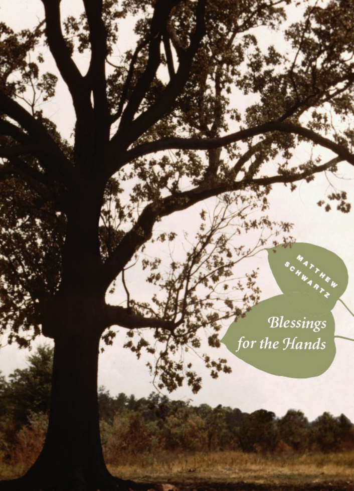Matthew Schwartz - Blessings for the Hands cover