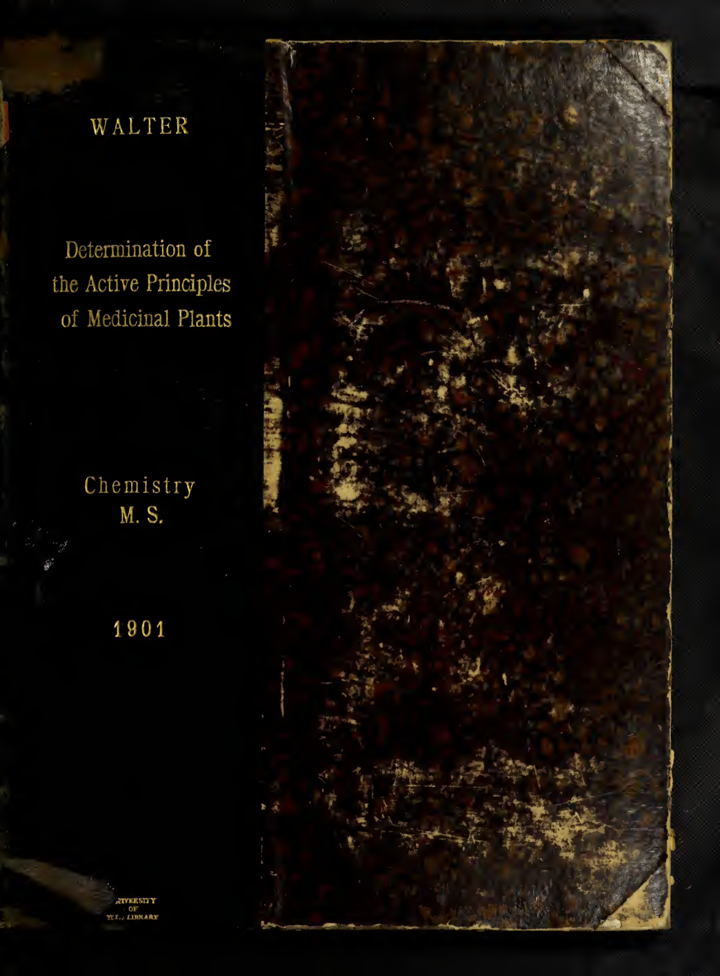 Determination of the active principles of medicinal plants - C. A. Walter (1901) cover