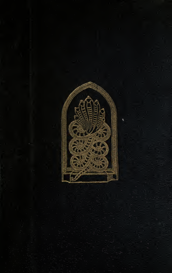 The Sun & the Serpent; a Contribution to the History of Serpent-Worship - C Oldham (1905) cover