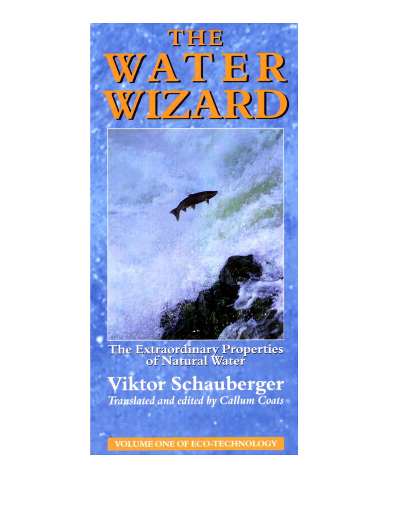 The Water Wizard cover