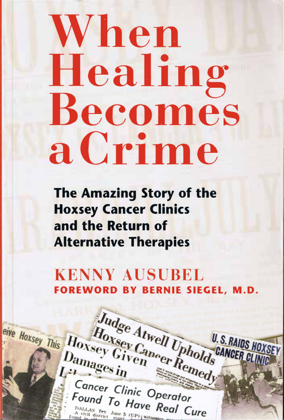 Kenny Ausubel - When Healing Becomes A Crime cover