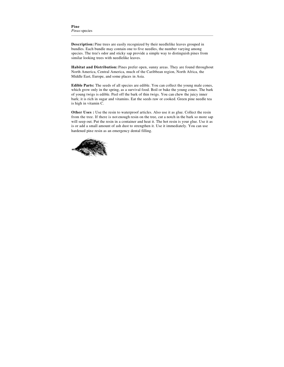 US Marine Corps - Survival - Part 2 cover