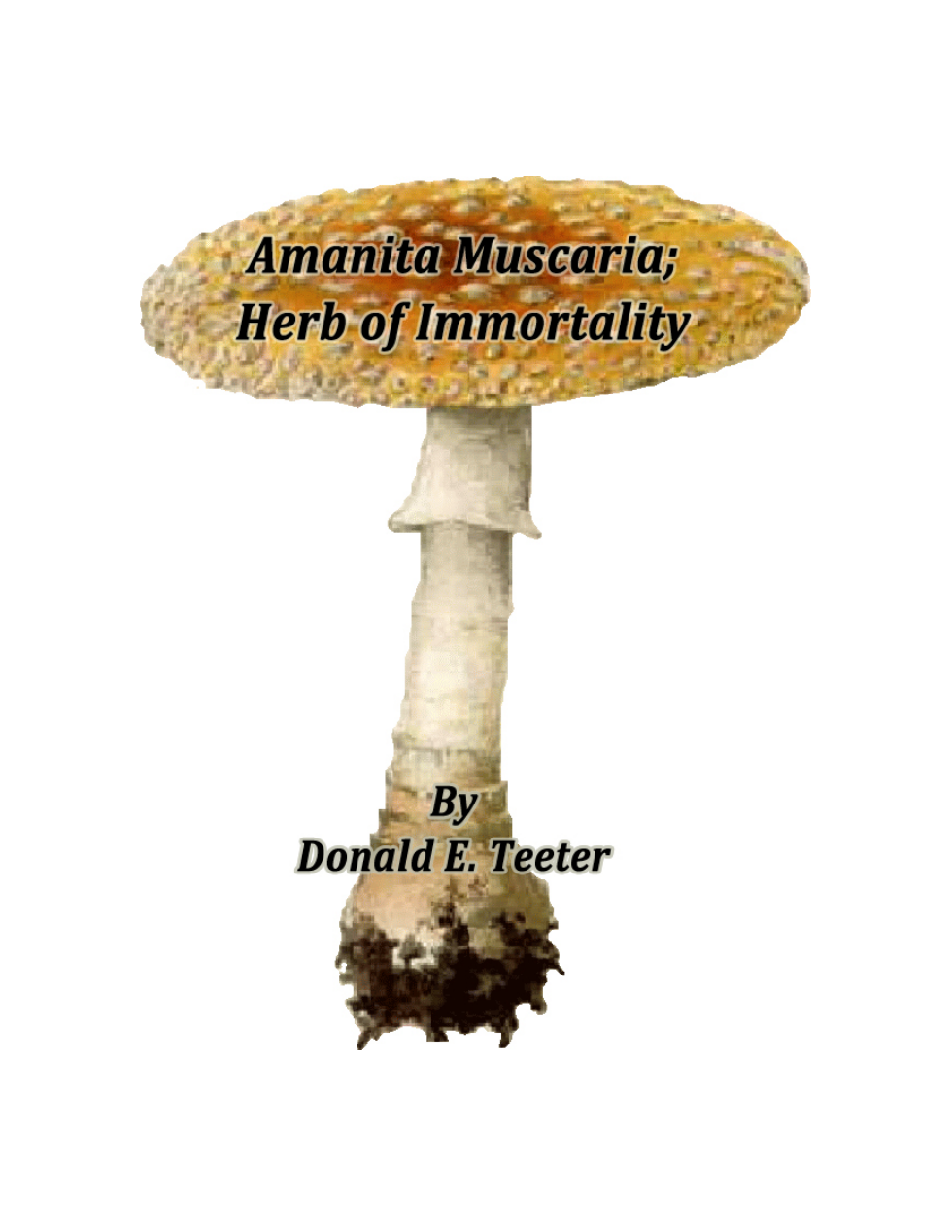 Herb of Immortality cover