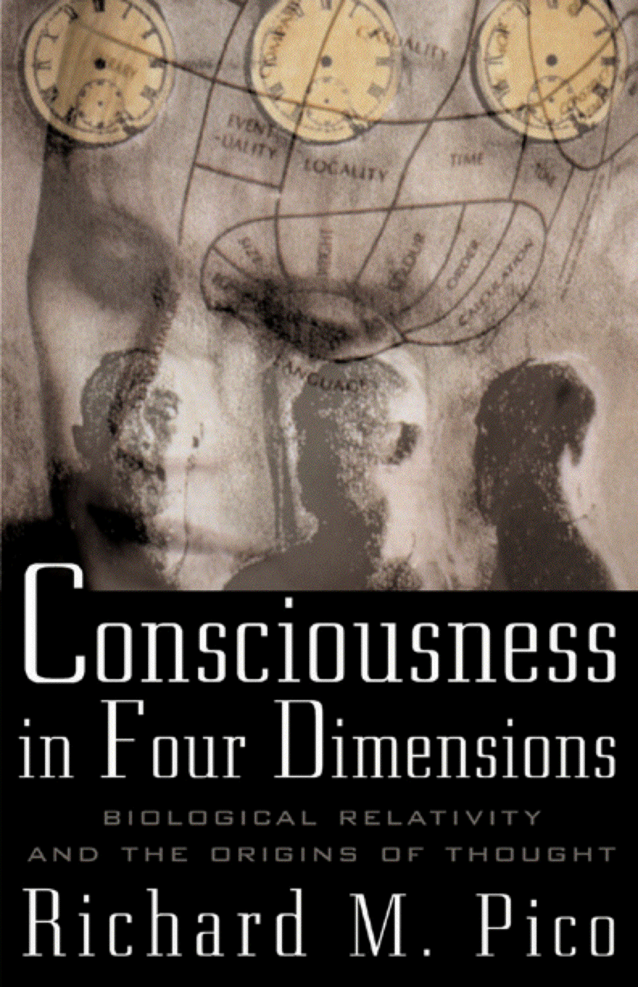 Consciousness In Four Dimensions - Biological Relativity And The Origins Of Thought cover