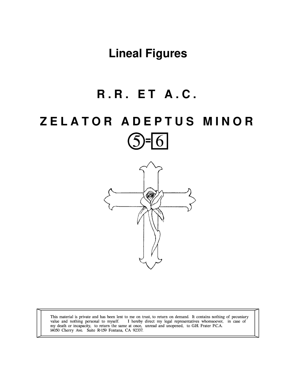 zam8 cover