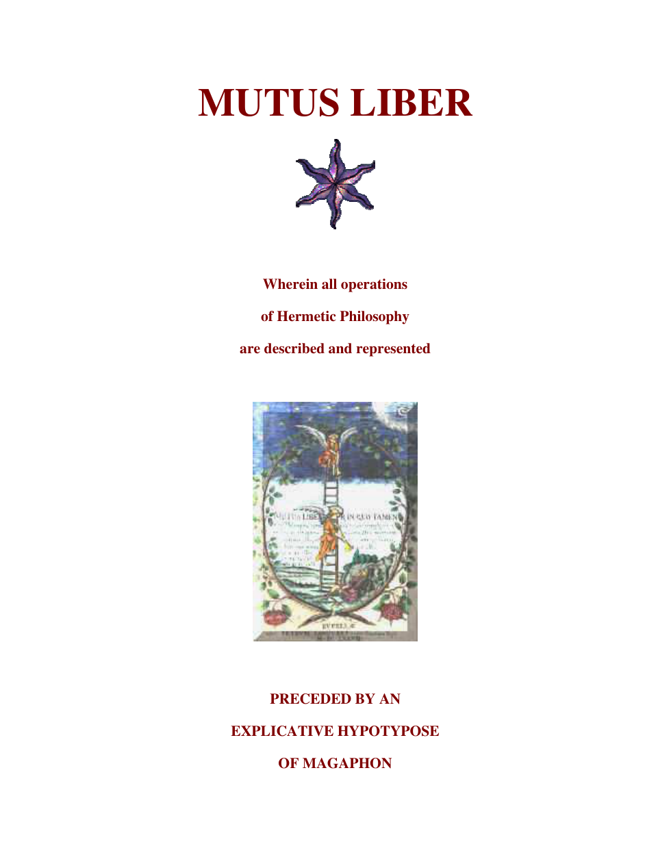 Mutus Liber cover