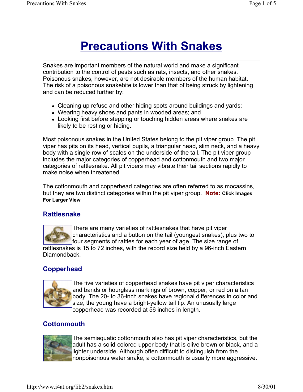 Precautions With Snakes cover