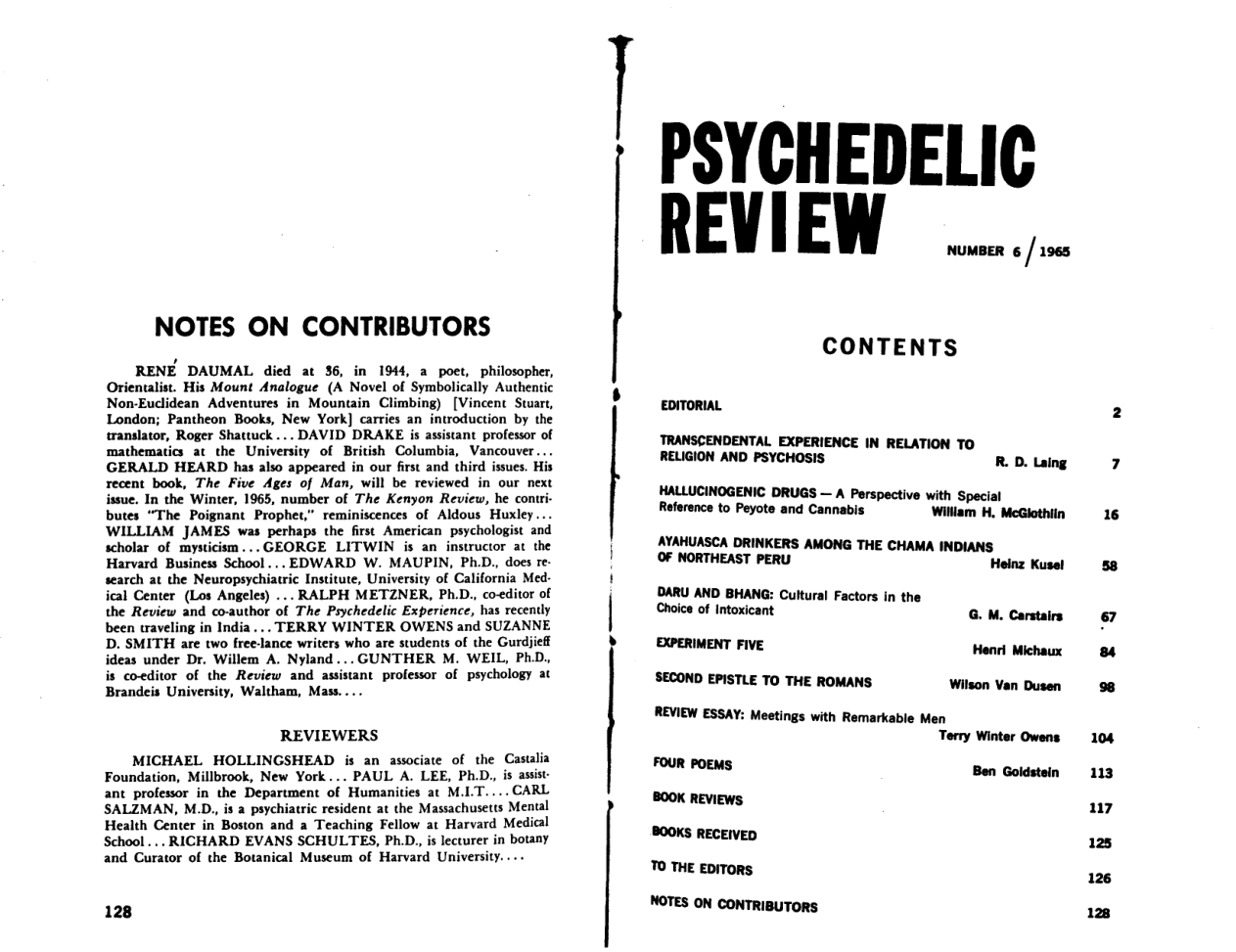 Psychedelic Review 06 cover