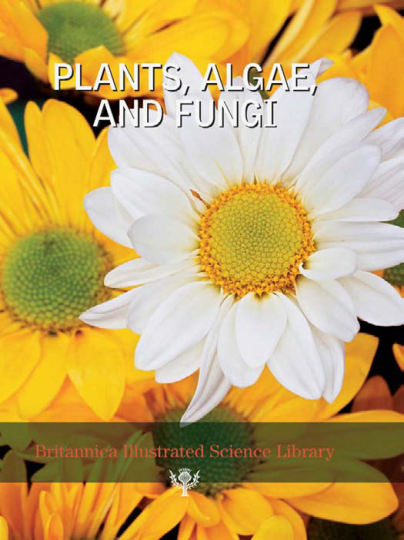 Encyclopedia Of Plants Algae And Fungi cover