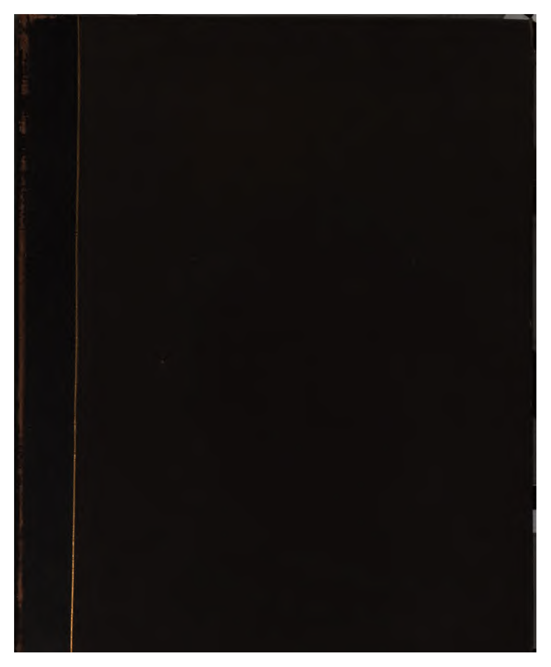 Chips From Old Stones - C Maclagan (1881) cover