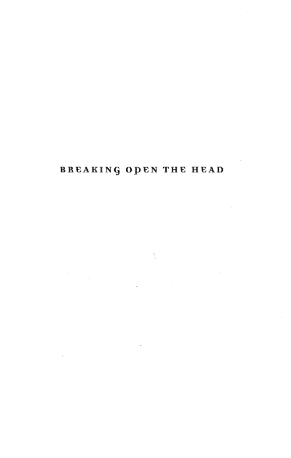 Daniel Pinchbeck - Breaking Open the Head cover