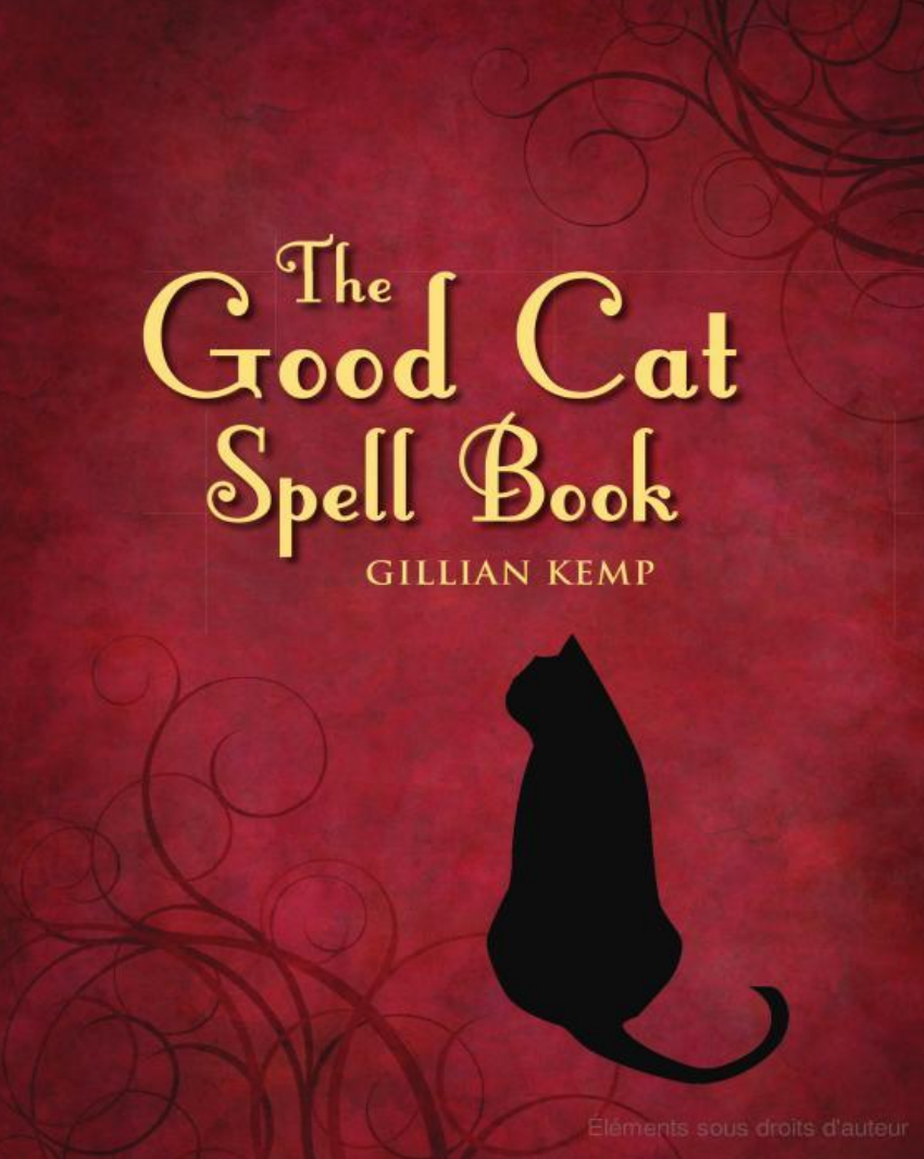 Good Cat Spell Book (no cat oracle) cover