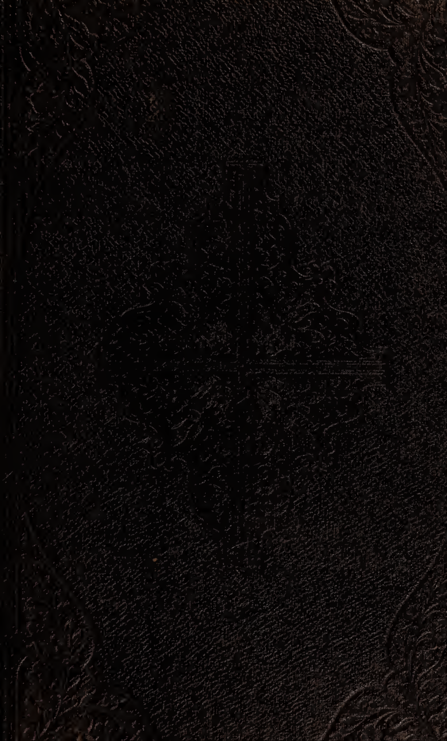 Medical reform, or, Physiology and botanic practice for the people - J. Stevens 1849 cover