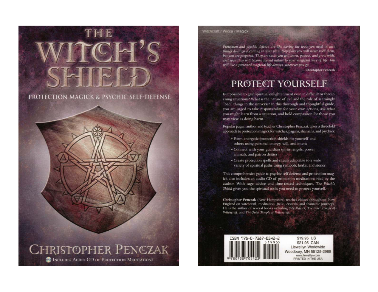 The Witch's Shield cover
