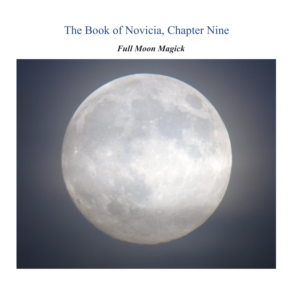 NoviciaChapterNine cover