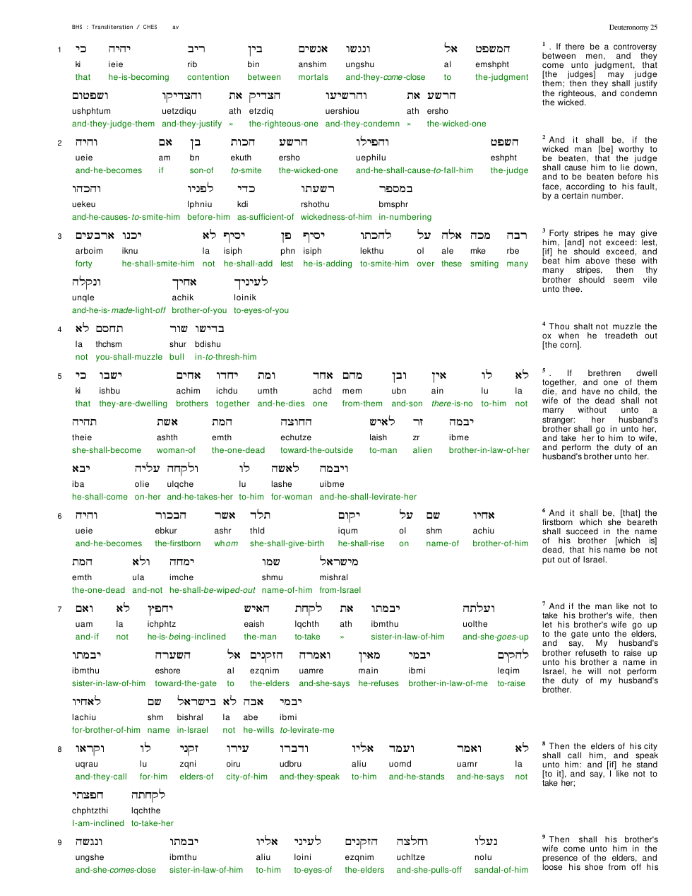 05025-The Book Of Deuteronomy Chapter-025 cover