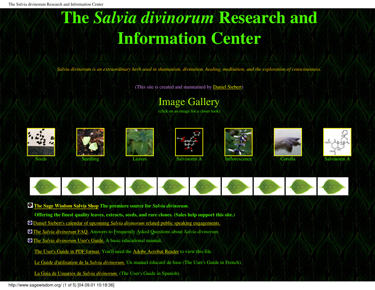 Salvia Divinorum - Research Information Center cover