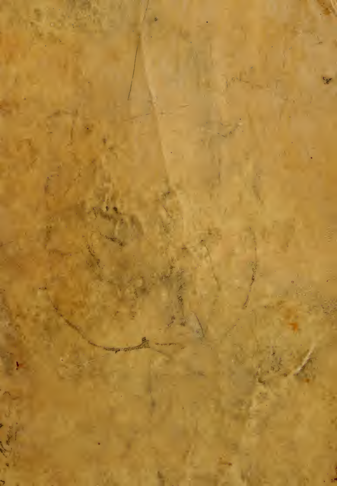 Io. Bap. Portae Neopolitani de distillatione lib. IX - G. della Porta (1608) [Latin] cover