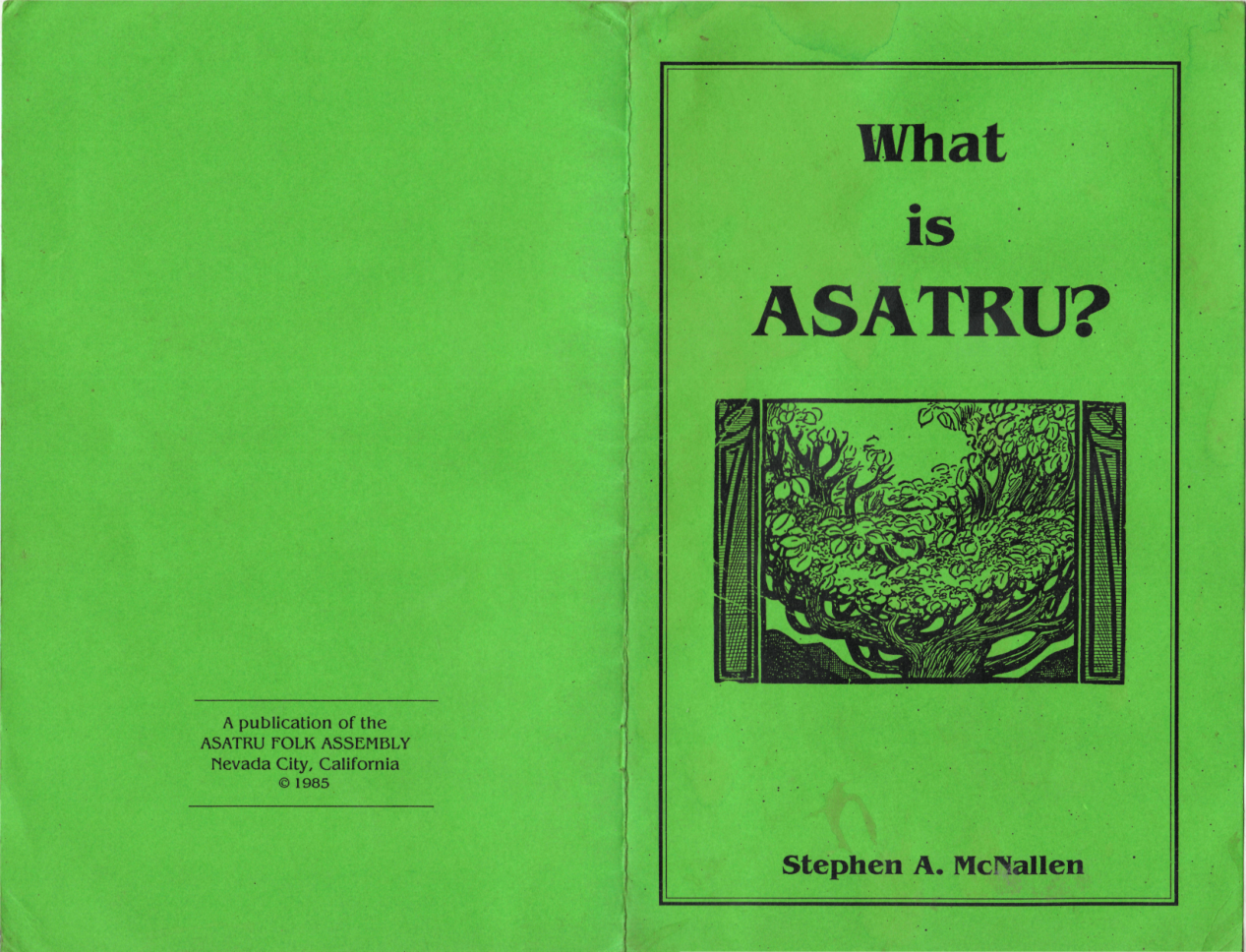 Stephen A. Mcnallen - What Is Asatru cover