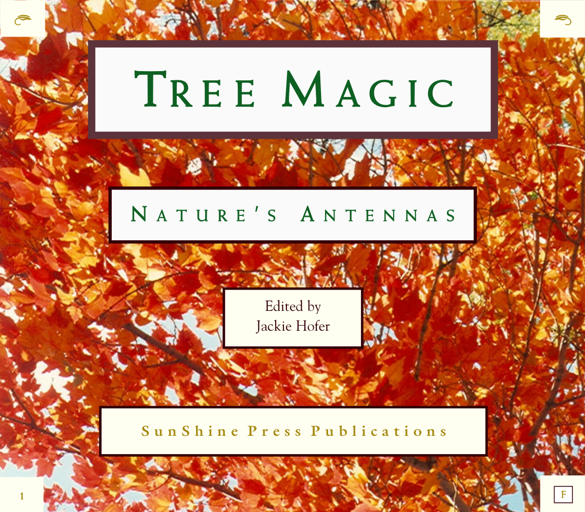 Tree Magic cover