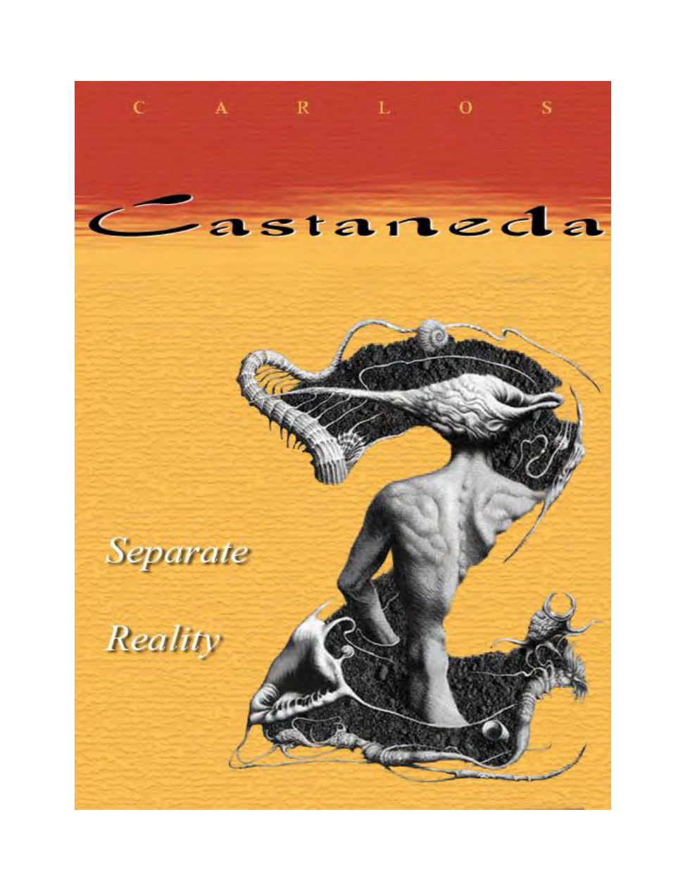 Carlos Castaneda - A Separate Reality cover