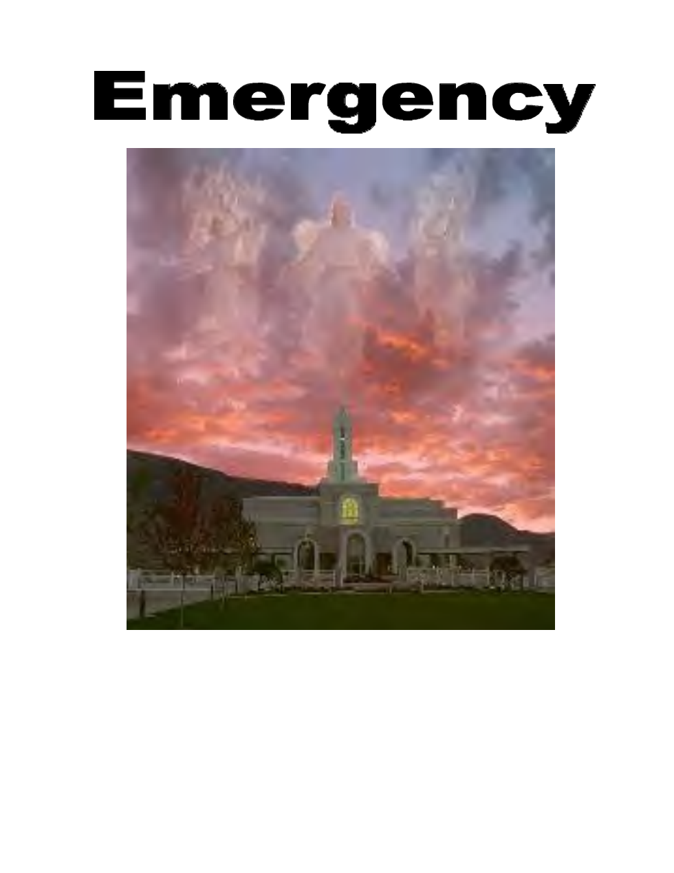 Mormon Emergency Preperation cover