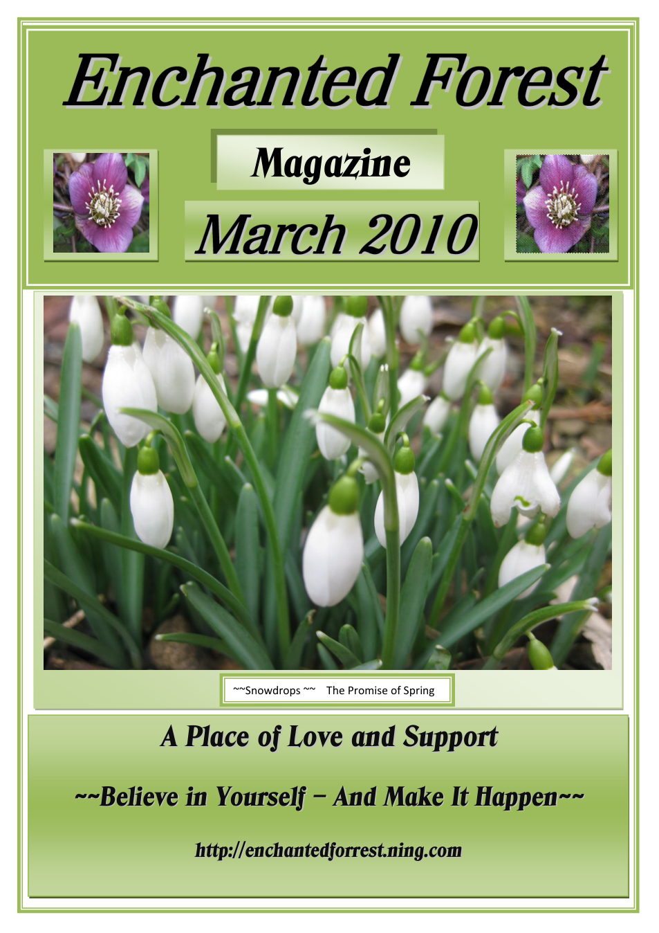 March-2010-Enchanted-Forest-magazine cover