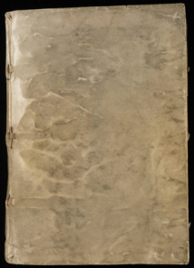The Voynich Manuscript cover