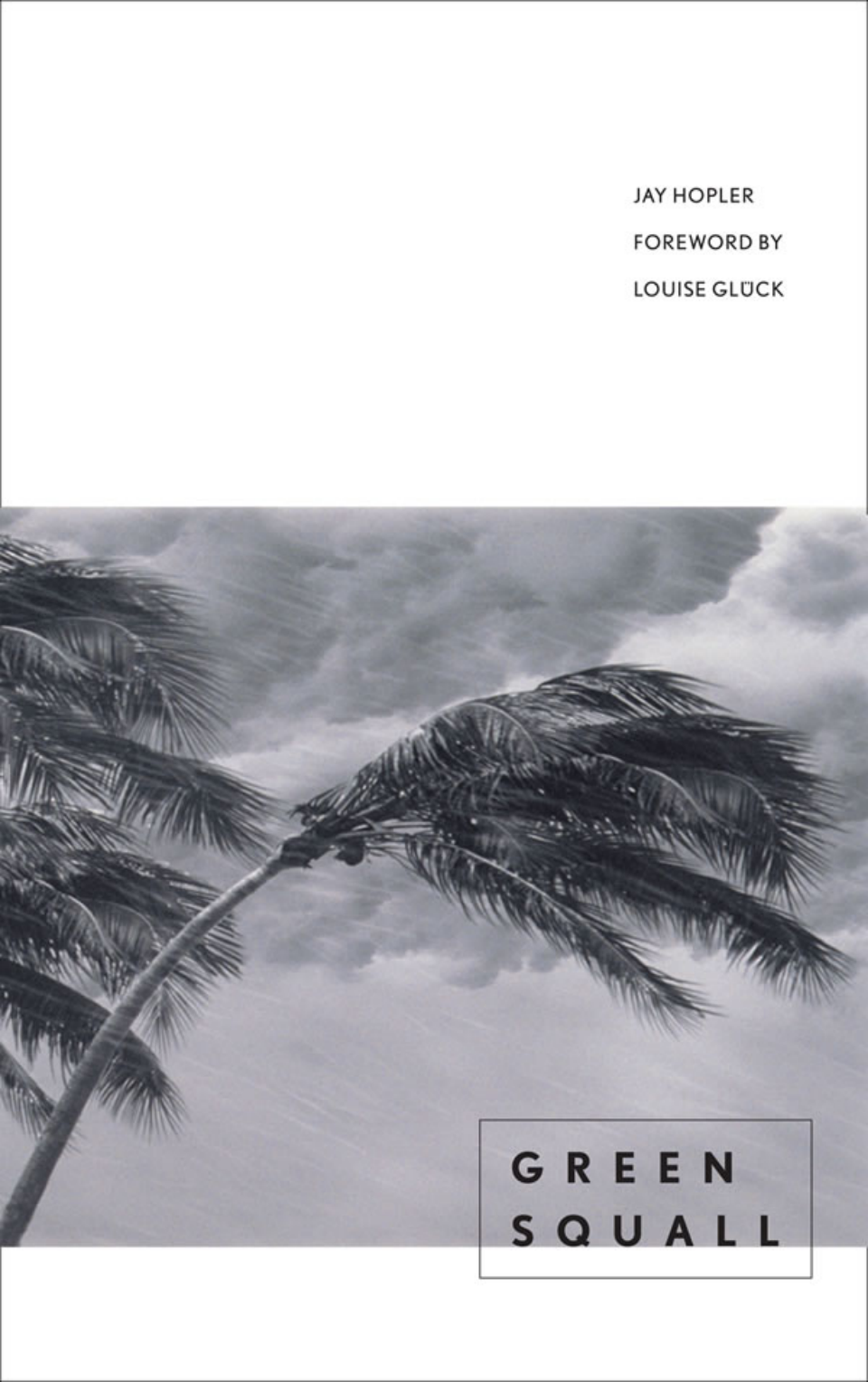 Jay Hopler - Green Squall cover
